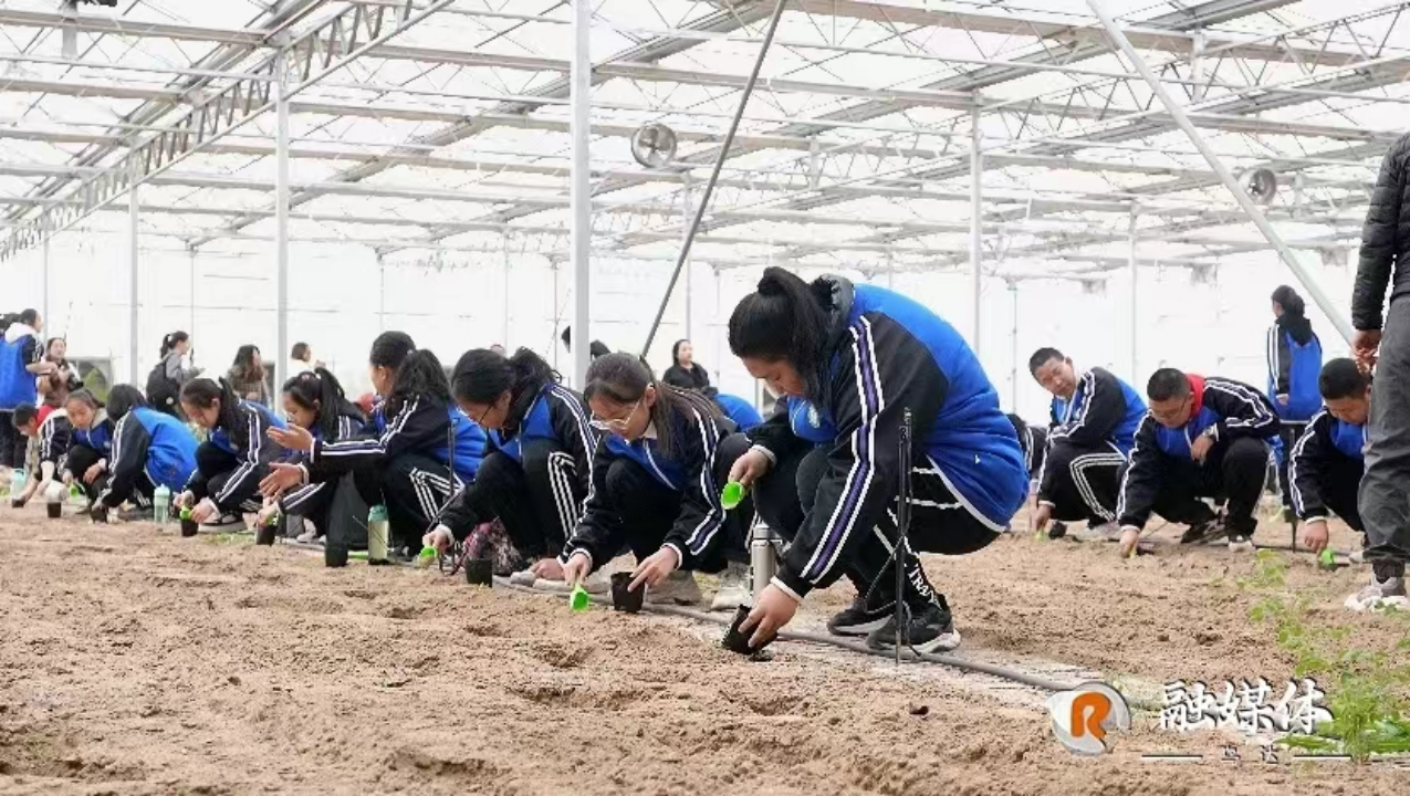 全景网
