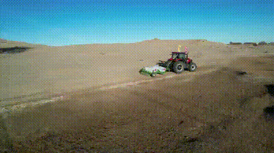 4.gif