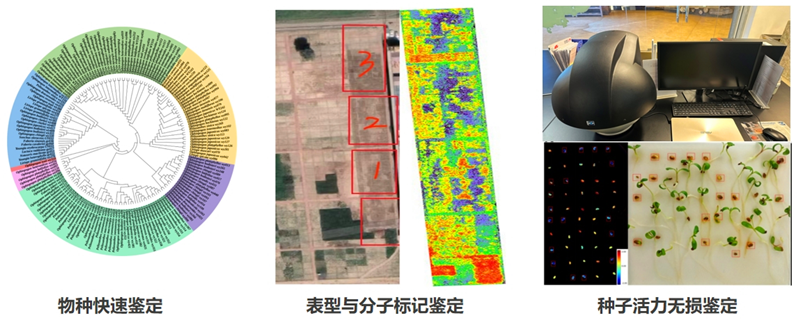 微信图片_20240815123627.png