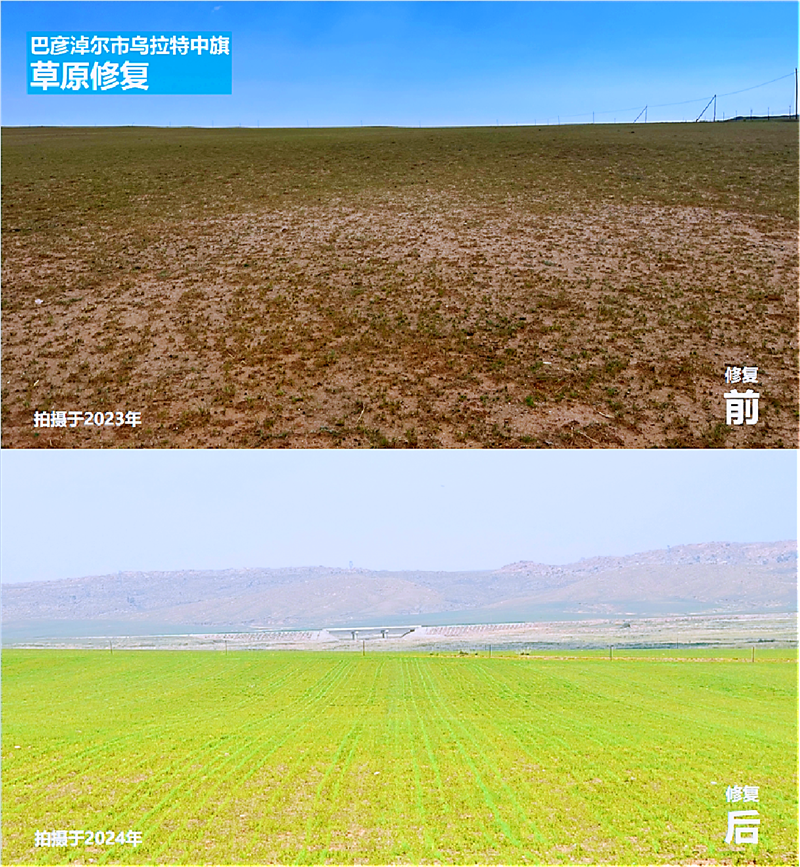 微信图片_20241015090644.png