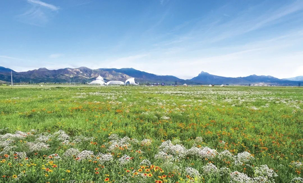 国家级创新平台+1！草业国家技术创新中心落地内蒙古